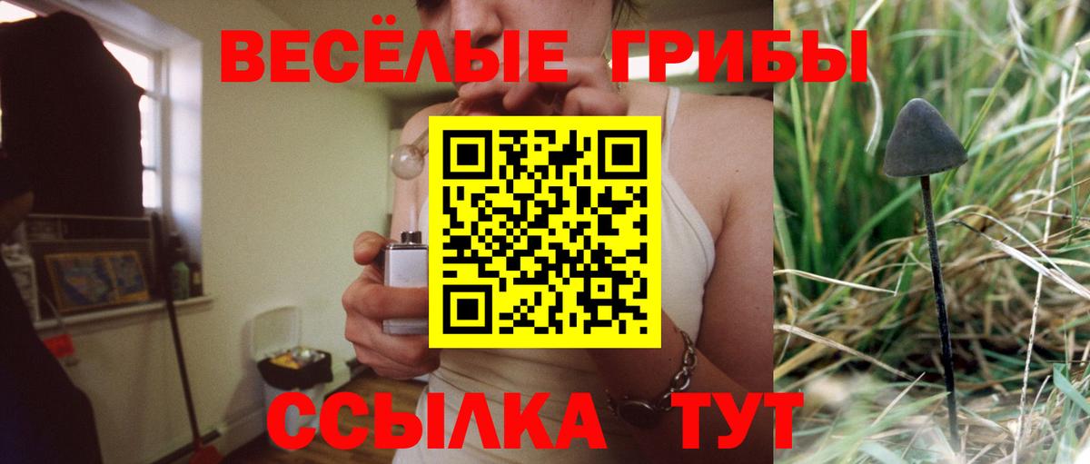 Галлюциногенные грибы Magic Shrooms  Вход с VPN  Кулебаки 